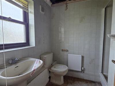 Picture 15